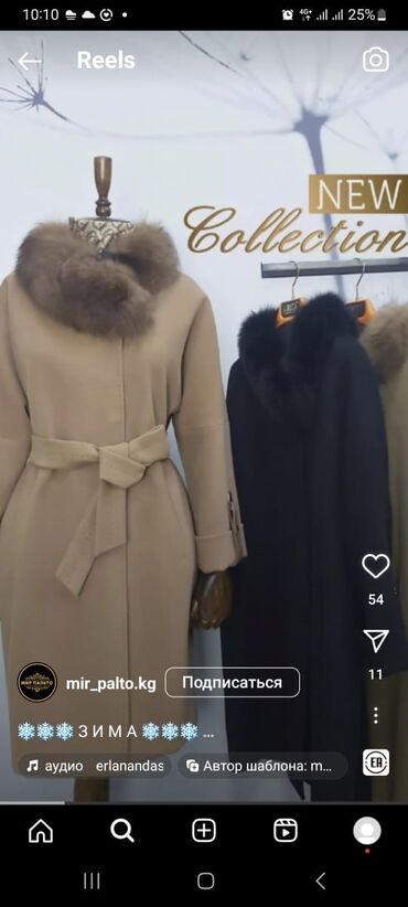 женское пальто зима осень: Пальто, Зима, Кашемир, XL (EU 42), 2XL (EU 44)