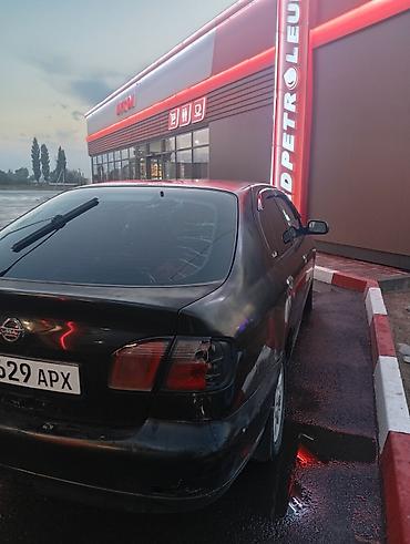 Транспорт: Nissan Primera: 2001 г., 1.8 л, Механика, Бензин, Седан — 5