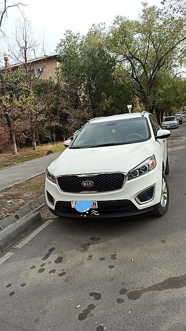 Kia: Kia Sorento: 2018 г., 2.4 л, Автомат, Бензин, Кроссовер — 10