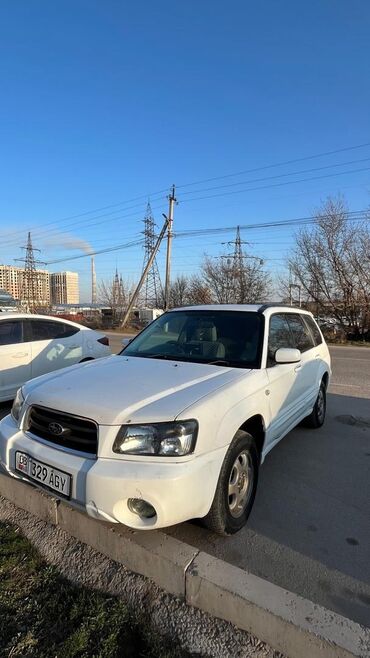 субаро форестер: Subaru Forester: 2004 г., 2 л, Автомат, Газ, Универсал