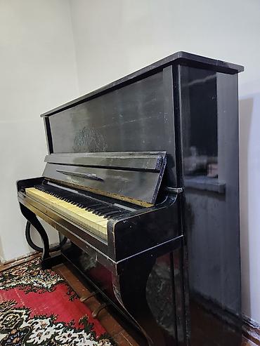 elektron saz: Piano, Belarus, Akustik, İşlənmiş, Ünvandan götürmə — 3
