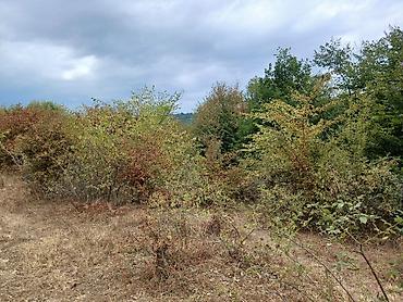 Torpaq sahələrinin satışı: 170 sot, Biznes üçün, Mülkiyyətçi, Kupça (Çıxarış) — 9