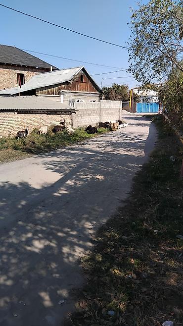 Уборка территории: Уборка территории, Стрижка газона — 4