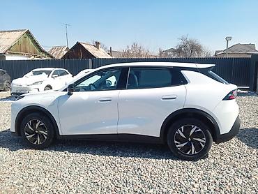 Jetour: Jetour : 2026 г., Кроссовер — 16