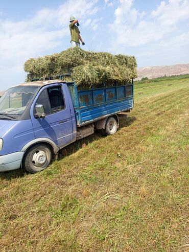 разбор корейских авто бишкек: Жүк ташуучу унаа, GAZ, Стандарт
