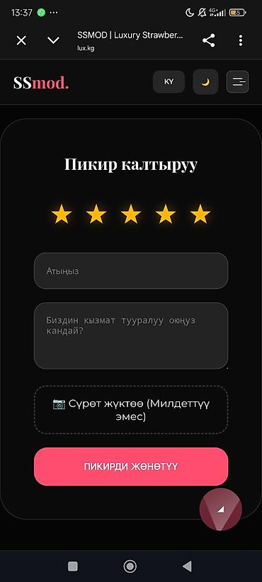 lcd tv: Даяр сайт сатылат – кулпунай, гүл, таттуу сатуу үчүн онлайн-дүкөн — 5