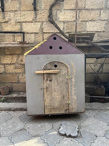 göyerçin yuvası: Salam hər kəsə möhkəm materialla yiğilmiş tam əla vəziyyətdə yuva — 2