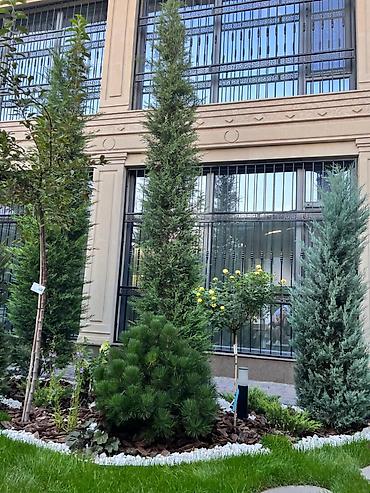 Продажа коттеджей и домов: Продаётся готовый дом 250м2 с дизайнерским ремонтом без вложений в — 1