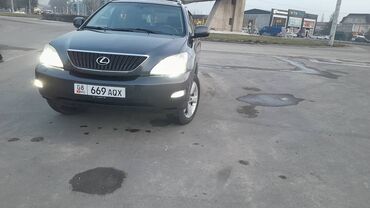 акорд 2003: Lexus RX: 2003 г., 3.3 л, Автомат, Бензин, Кроссовер