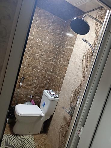 приют для животных в баку адрес: 2 комнаты, Новостройка, 50 м² — 9