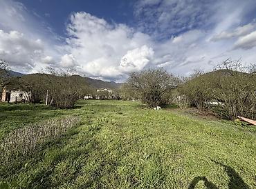 pirşaği torpaq: Tikinti, Mülkiyyətçi, Kupça (Çıxarış) — 3