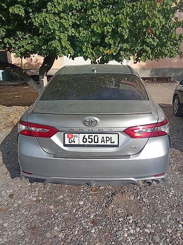 shevrolet malibu: Toyota Camry: 2019 г., 2.5 л, Автомат, Бензин, Седан — 4