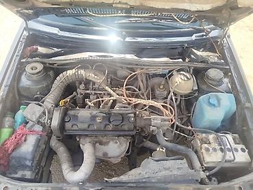 Volkswagen: Volkswagen Golf: 1990 г., 1.3 л, Механика, Бензин, Хэтчбэк — 7