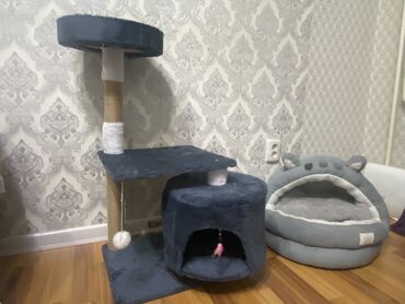 набор юнного художника: Игровой комплекс для кошек + мягкий домик-лежанка Комплекс: -