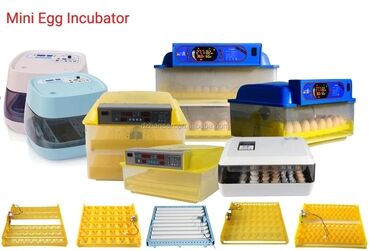 inkubator avadanlıqları: Çin, Fabrik istehsalı, Tam avtomat, Bütün növ quşlaq üçün