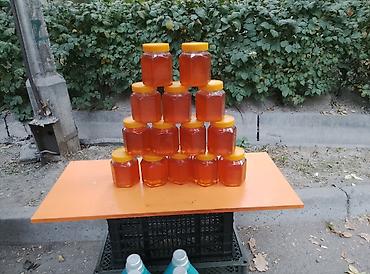 султан де саба бишкек: Продаю чистый горный Горный мёд килограмм 700 сом - Натуральный горный — 1