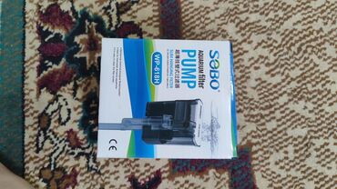 Akvariumlar: Dördbucaq akvarium, Balıqlarla birlikdə, 120 l, Ünvandan götürmə, Ödənişli çatdırılma, Rayonlara çatdırılma -da lalafo.az — 3 Akvariumlar: Dördbucaq akvarium, Balıqlarla birlikdə, 120 l, Ünvandan götürmə, Ödənişli çatdırılma, Rayonlara çatdırılma — 3