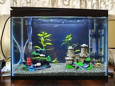 akvarium satisi: Dördbucaq akvarium, Boş, 14 l, Ödənişli çatdırılma — 1