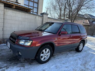 Subaru: Subaru Forester: 2002 г., 2 л, Автомат, Бензин, Внедорожник