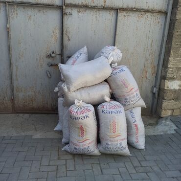 Peyin: Toz halinda mal peyini - kisesi 2,60 q. ( boyuk kepek kisesinde) — 8