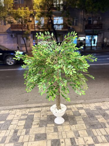 Bağ və bostan üçün digər məhsullar: Kv 10 man baslayr Depodan bir basa satis Hem ucuz hem keyfiyyetli — 5