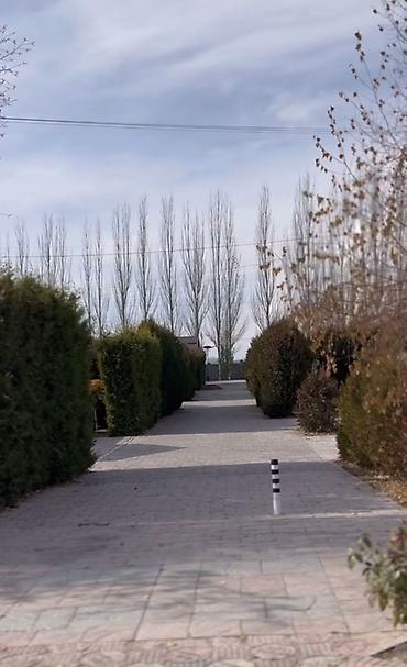 Посуточная аренда квартир: 3 комнаты, Душевая кабина, Постельное белье, Парковка — 15