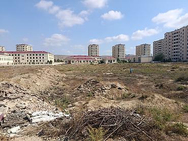 Tikinti — 1