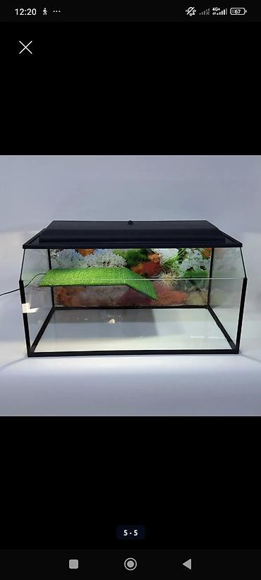 Зоотовары: Террариум, аквариум, палюдариум, флорариум, стеллажи для змей — 5