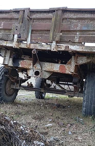 Lapetlər: SƏNƏDİ YOXDU — 7