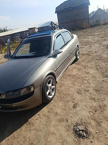 Opel: Opel Vectra: 2000 г., 0.8 л, Механика, Бензин, Седан — 3