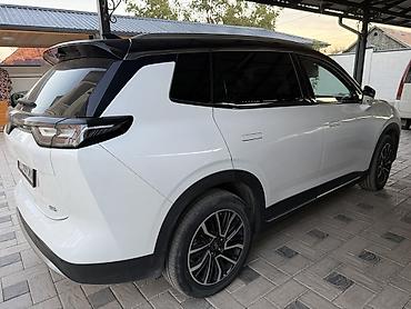 lancer 9: LIFAN : 2021 г., Электромобиль, Кроссовер — 4