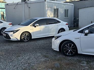 Toyota: Toyota Corolla: 2022 г., Вариатор, Гибрид, Седан — 2