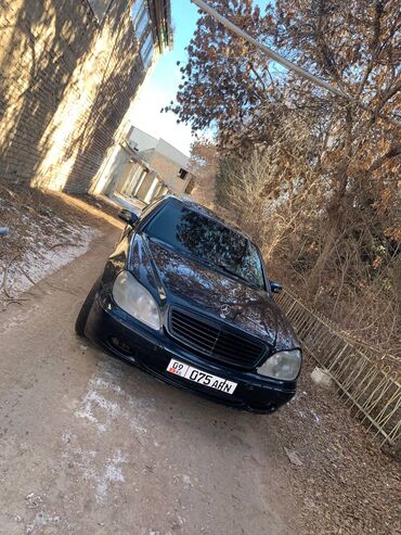 кабан mercedes: Mercedes-Benz S-Class: 1999 г., 5 л, Автомат, Бензин, Седан