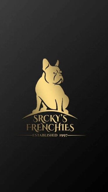 terijer na poklon: French bulldog kennel Srcky's oglasava vise muzjaka slobodnih za