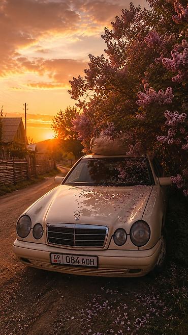 ош е34: Mercedes-Benz E-Class: 1998 г., 2.9 л, Кол менен иштөөчү, Дизель, Седан — 1