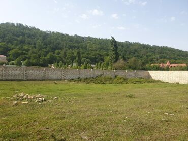 Torpaq sahələrinin satışı: 15 sot, Kənd təsərrüfatı, Mülkiyyətçi, Kupça (Çıxarış) — 4