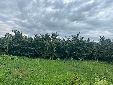 Həyət evləri və villaların satışı: 3 otaqlı, 100 kv. m, Yeni təmirli — 6