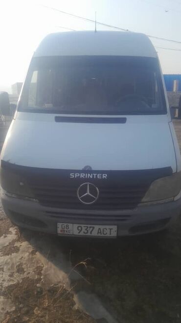 Mercedes-Benz: Mercedes-Benz Sprinter: 2001 г., 3 л, Механика, Дизель, Бус