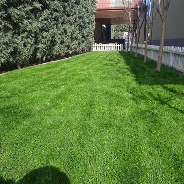 Başqa xidmətlər: Bağ və villalarda qazon üçün sprinkerlər vasitəsilə ağac və kollar — 11