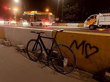 фиксс: Фикс-байк (single speed) городского типа - Рама: дорожная/трековая — 2