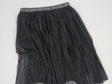 spódnice z piór zara: Limited Edition, Women`s skirt, size S (EU 36)