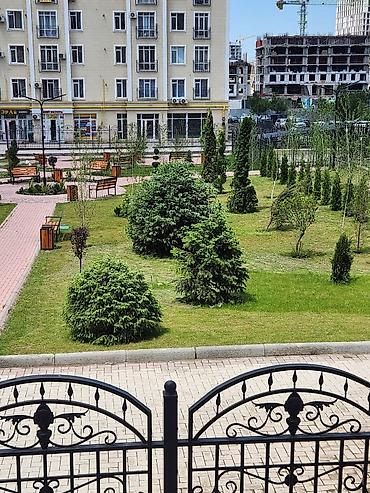 арт сити элит хаус: Сдаётся на долгий срок просторная 1-комнатная квартира с дизайнерской — 1