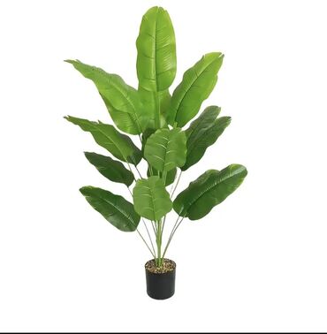 Süni güllər: 🌸 İstədiyiniz dibçəyi, istədiyiniz ölçüdə yığırıq! 🏡 Evlər, ofislər -da lalafo.az — 14 Süni güllər: 🌸 İstədiyiniz dibçəyi, istədiyiniz ölçüdə yığırıq! 🏡 Evlər, ofislər — 14