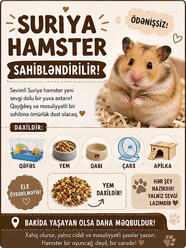 hamster kafesi: Pulsuz hamster sahiblendirilir. Qefes apilka yem yemek qabi carx su — 2