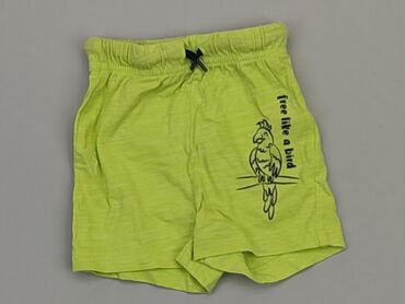 Shorts: Shorts, So cute, 6-9 months, condition - Good