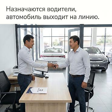 Готовый бизнес: Инвестиция в бизнес — 2