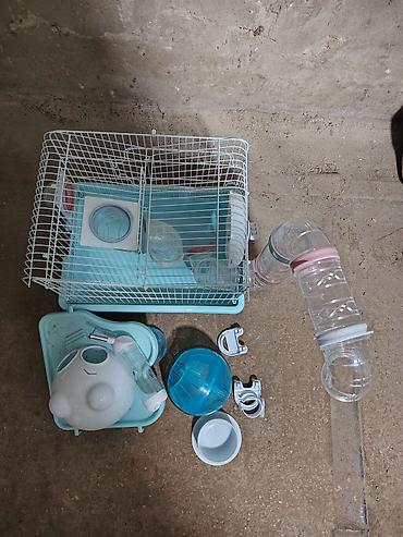 Клетки: Real alıcıya xüsusi endirim olunacaq! Hamster üçün tam set qəfəs - — 6