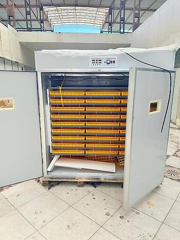 İnkubatorlar: 5000 yumurta, Çin, Azərbaycan dilində təlimat, Bütün növ quşlar üçün, Fabrik istehsalı — 3
