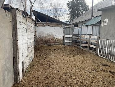 Продажа домов: Дом, 28 м², 3 комнаты, Собственник, Старый ремонт — 11