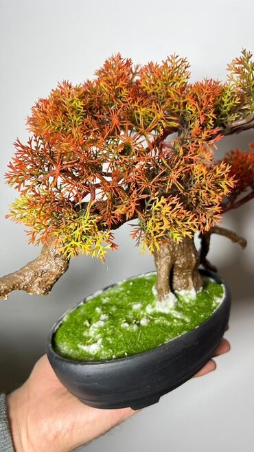 Süni güllər: Süni bonsai ağacı – dekorativ içməkan yaşıllaşdırma üçün - Realistik — 30